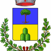 temù 2